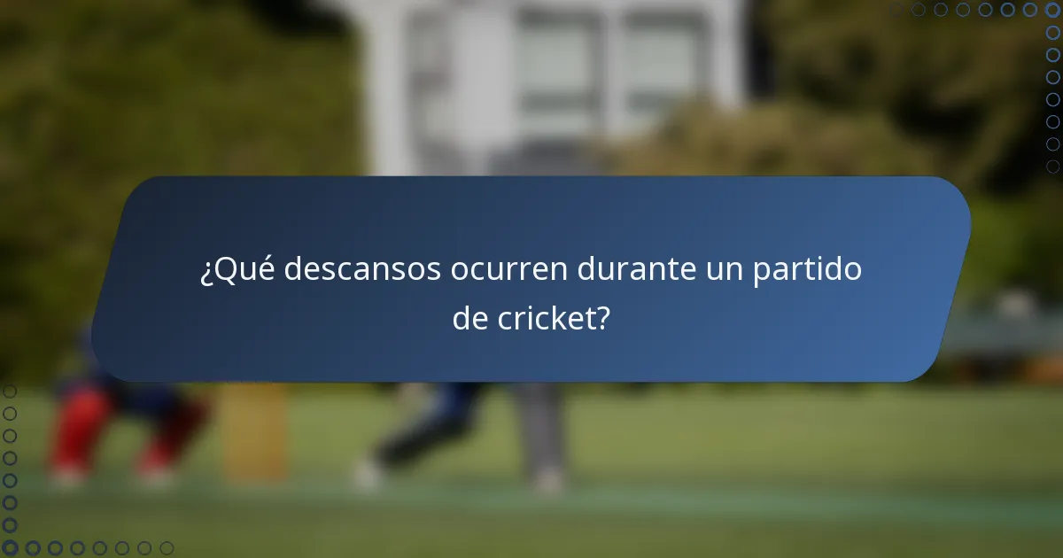 ¿Qué descansos ocurren durante un partido de cricket?