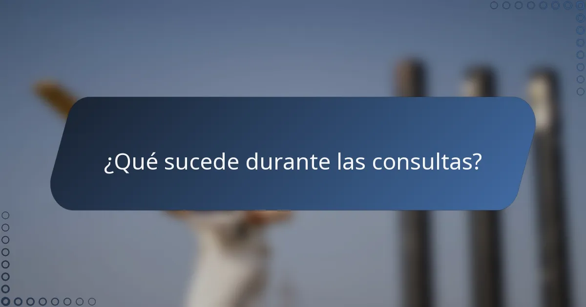 ¿Qué sucede durante las consultas?